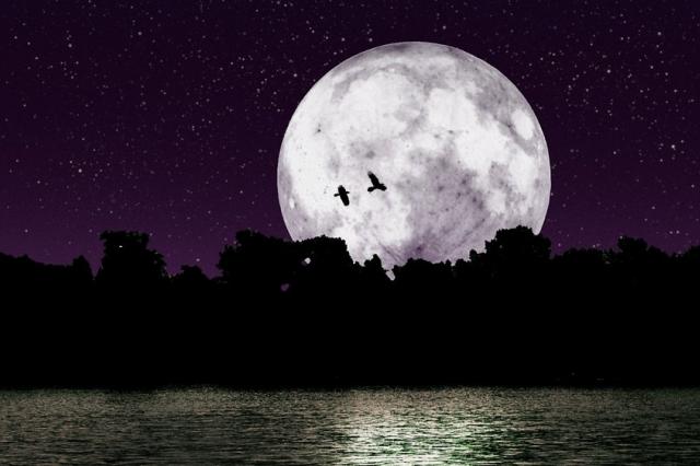 В августе луна окажет особенное влияние на представителей всех знаков зодиака